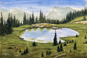IMG 4329